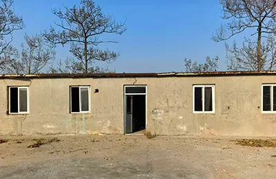 Development History