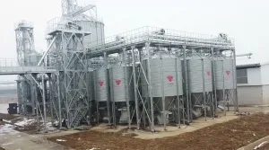 Automatic Cattle Feeding System