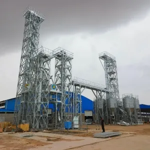 Yellow River Alxa (10,000 Head)